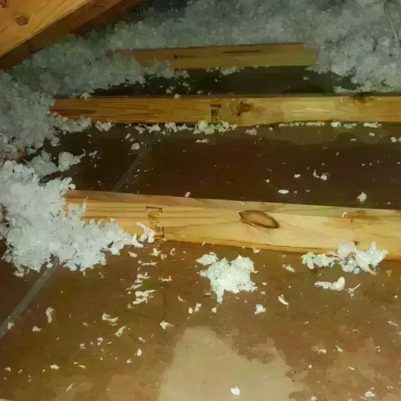 Attic Water Damage in Soquel, CA